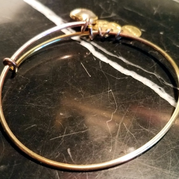 Alex and Ani February Birthstone AMETHYST Rafaelia - Picture 7 of 7